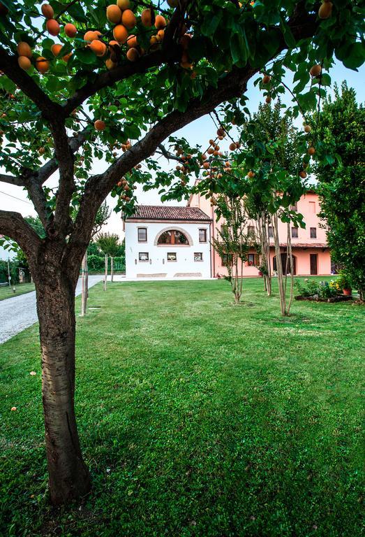 Brick House Silea Villa Ngoại thất bức ảnh